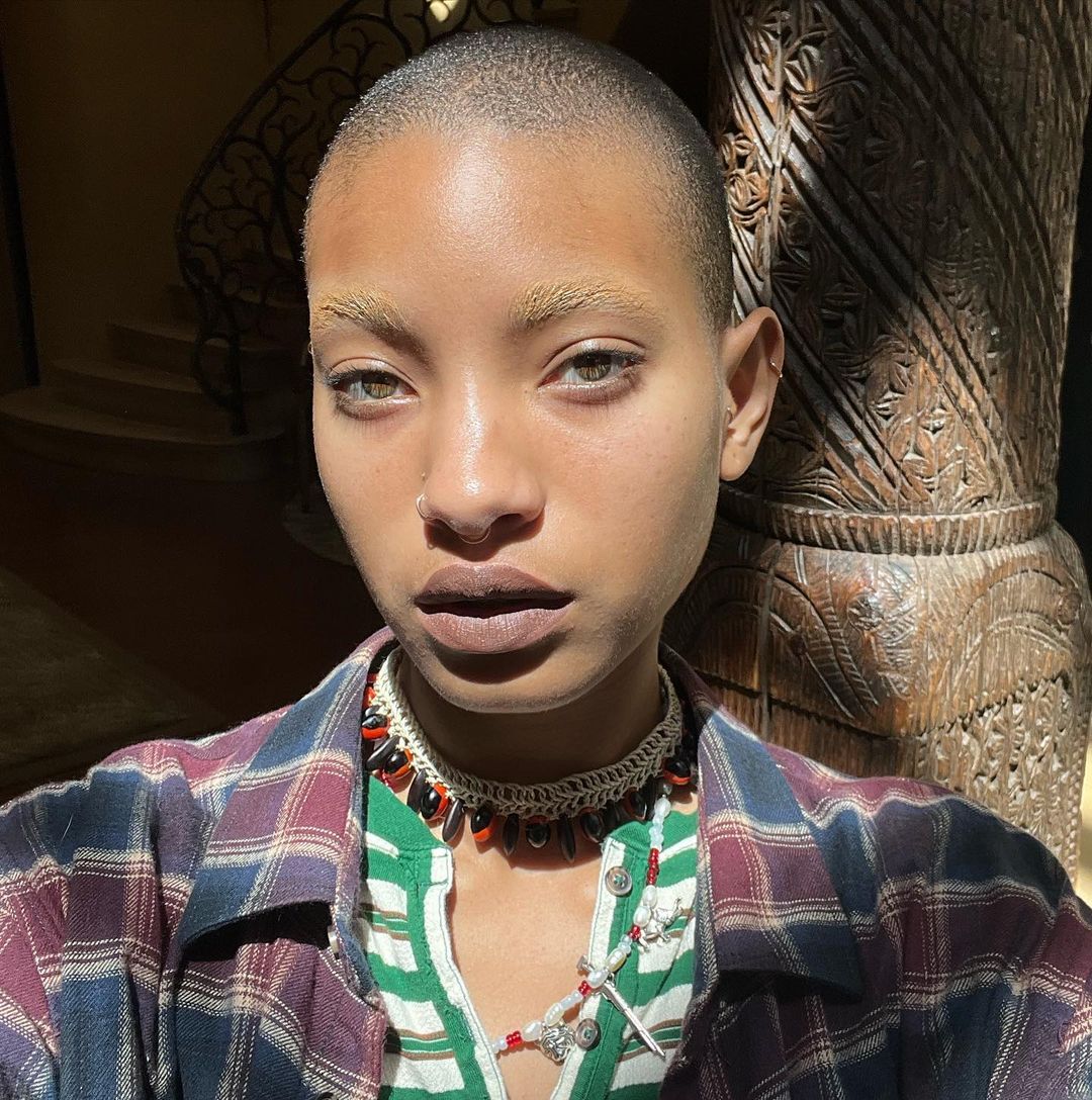 Willow Smith Net Worth, Family, Parents, Biography, Wiki